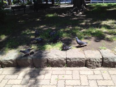 20120519111935.jpg