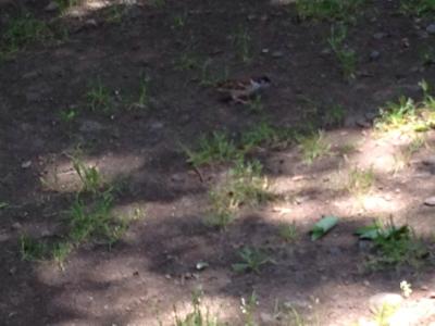 20120519112116.jpg