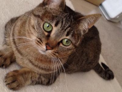 20120520101646.jpg