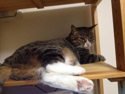 20120624184717.jpg