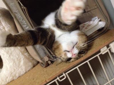 20120625224617.jpg