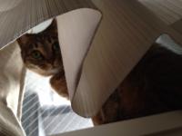 20120629075038.jpg