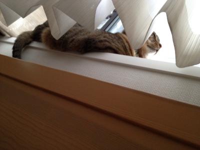 20120629080614.jpg