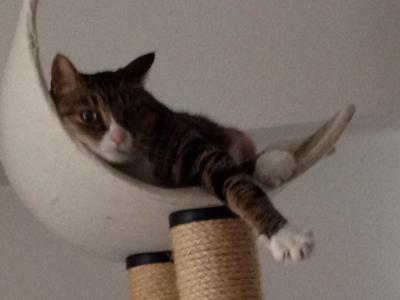 20120629082320.jpg