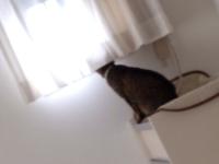 20120701075506.jpg