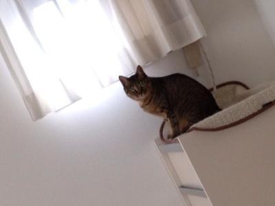 20120701075553.jpg