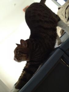 20120701080324.jpg