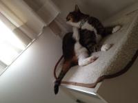 20120701121823.jpg