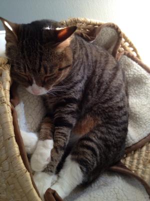 20120702161740.jpg