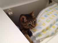 20120705075141.jpg