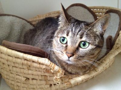 20120706072833.jpg