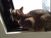 20120706074334.jpg