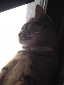 20120707080954.jpg