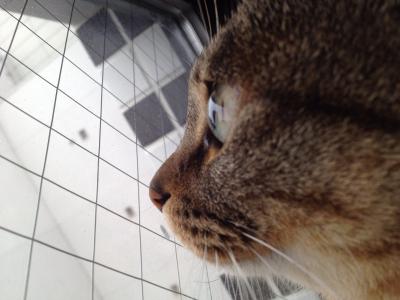 20120707082231.jpg