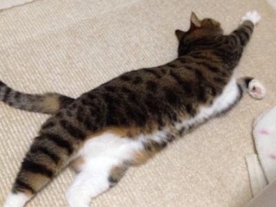 20120707180447.jpg