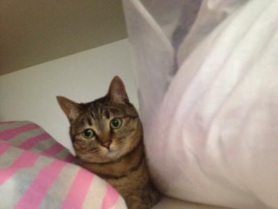 20120710202503.jpg