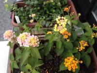 20120714110043.jpg