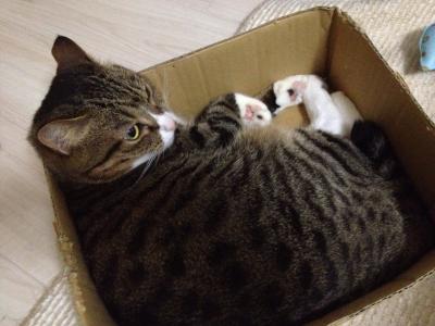 20120714203403.jpg