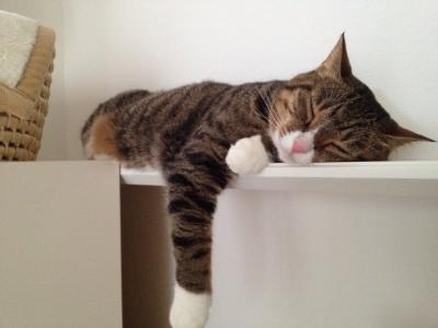 20120722163819.jpg