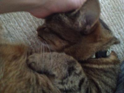 20120804165957.jpg
