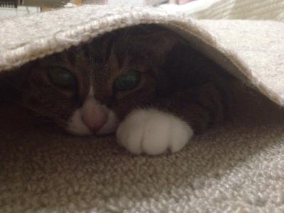 20120804230758.jpg