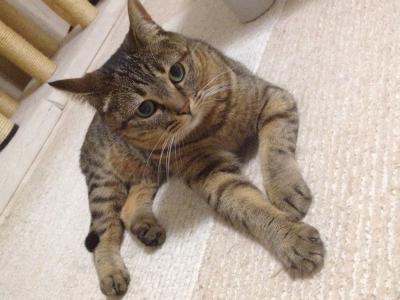 20120804231127.jpg