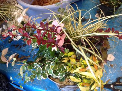 20120805120529.jpg