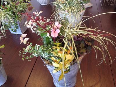 20120805121854.jpg