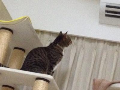 20120805201931.jpg