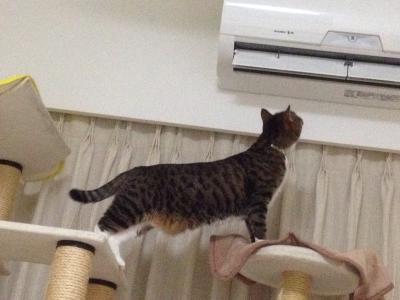 20120805202334.jpg