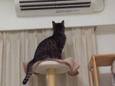 20120805202627.jpg