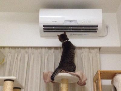 20120805203005.jpg