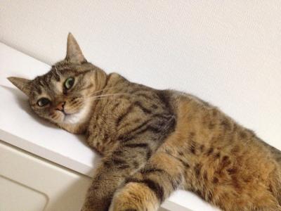 20120807002639.jpg