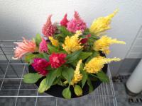 20120807182311.jpg