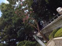 20120813100024.jpg
