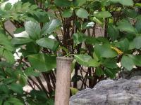 20120813100343.jpg