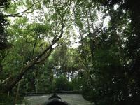 20120813101132.jpg