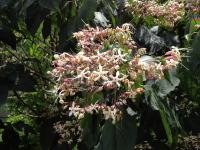 20120813101341.jpg