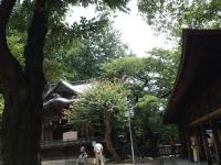 20120813102700.jpg