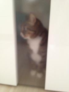20120815093422.jpg