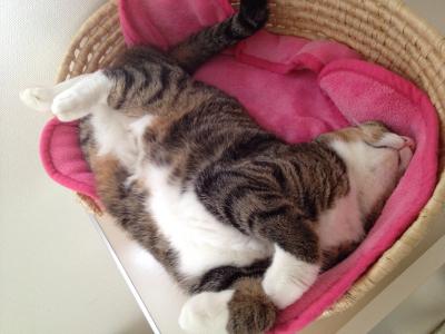 20120818090303.jpg