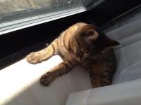 20120825100548.jpg
