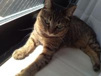 20120825100648.jpg