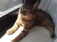 20120825100658.jpg