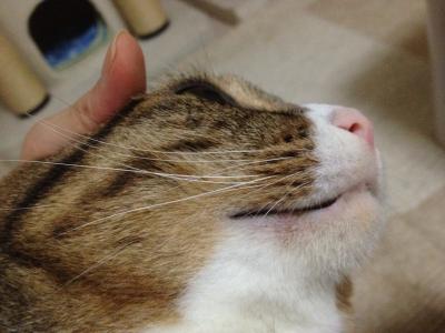 20120825210226.jpg