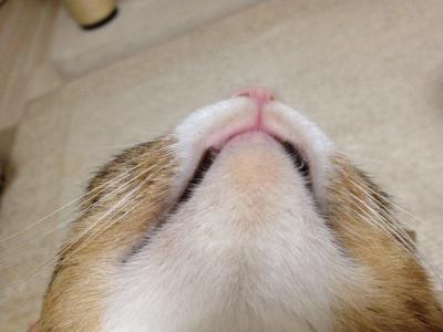20120825210251.jpg