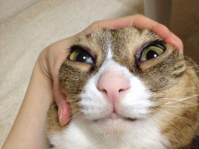 20120825210851.jpg