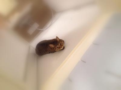 20120831213913.jpg