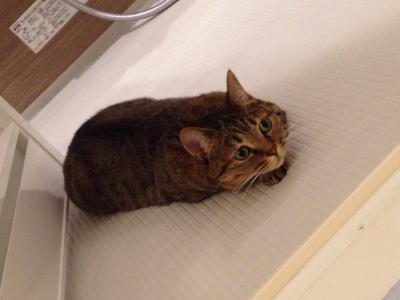 20120831213919.jpg