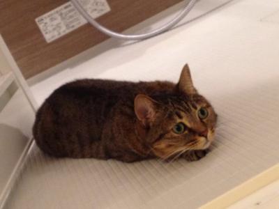 20120831213924.jpg